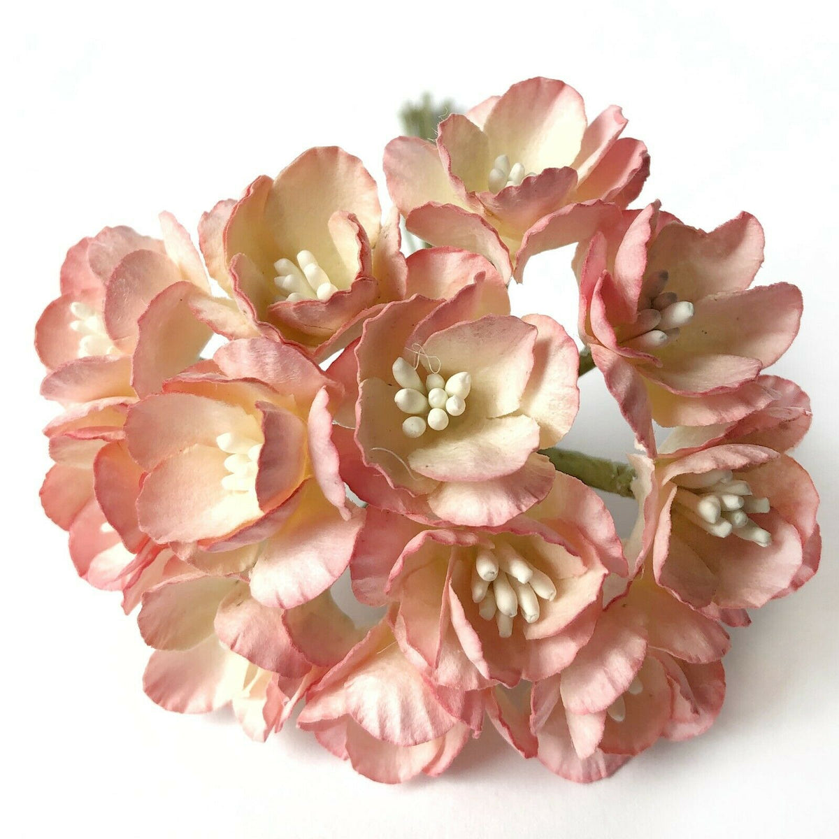 Blush pink 25mm mulberry paper cherry blossom flowers with wire stems for wedding invitations