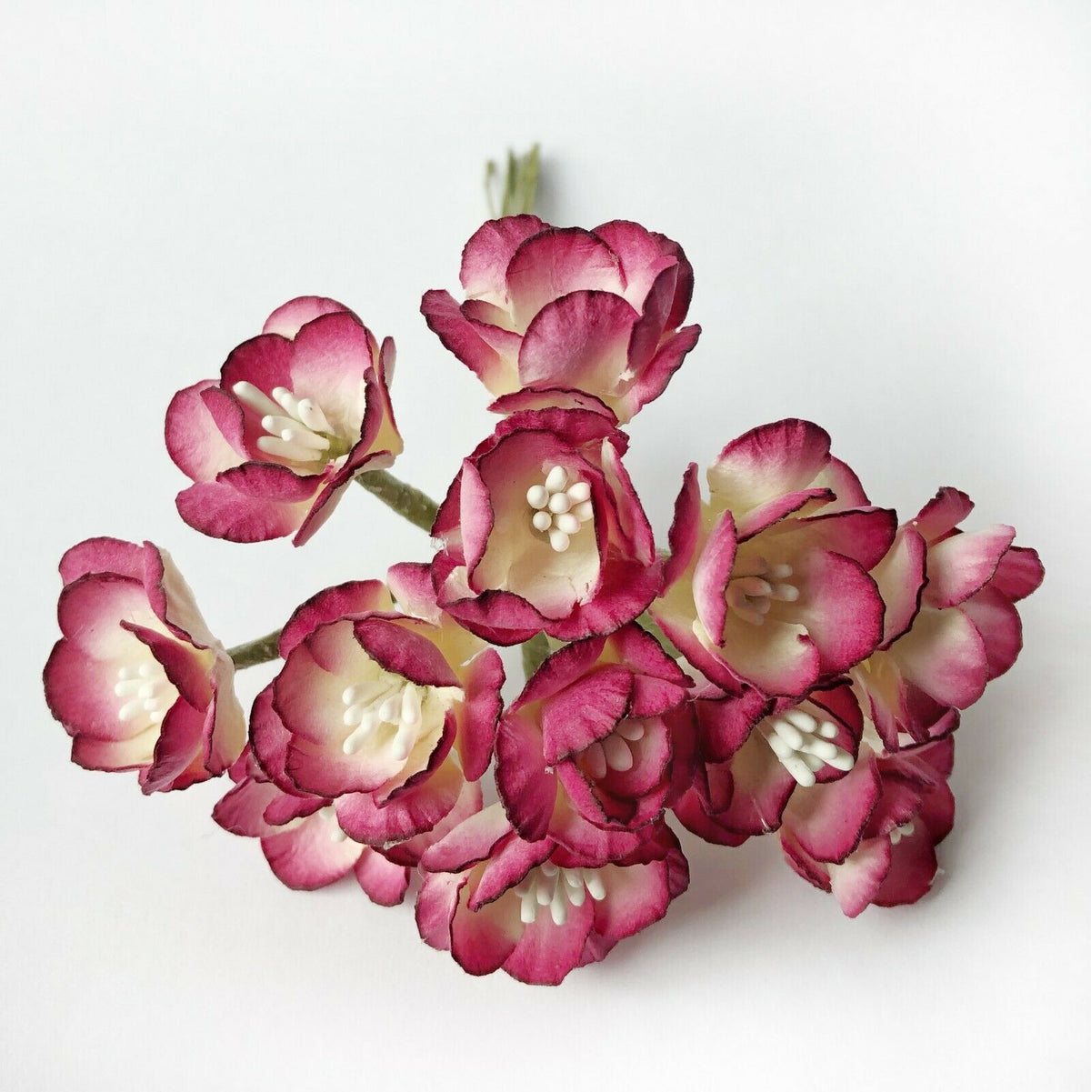 Fuchsia pink 25mm mulberry paper cherry blossom flowers with wire stems for crafts