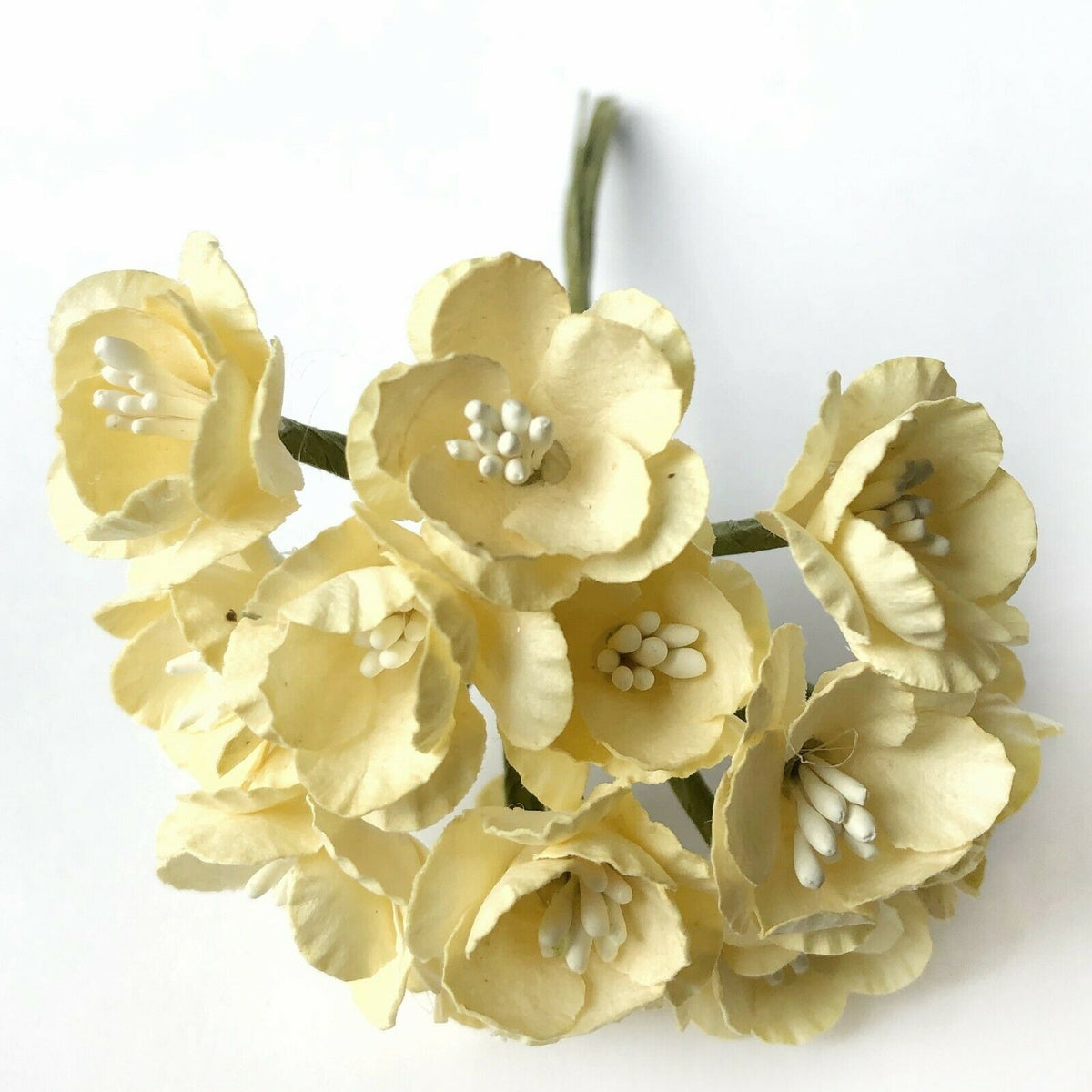 Ivory 25mm mulberry paper cherry blossom flowers with green wire stems for wedding invitations