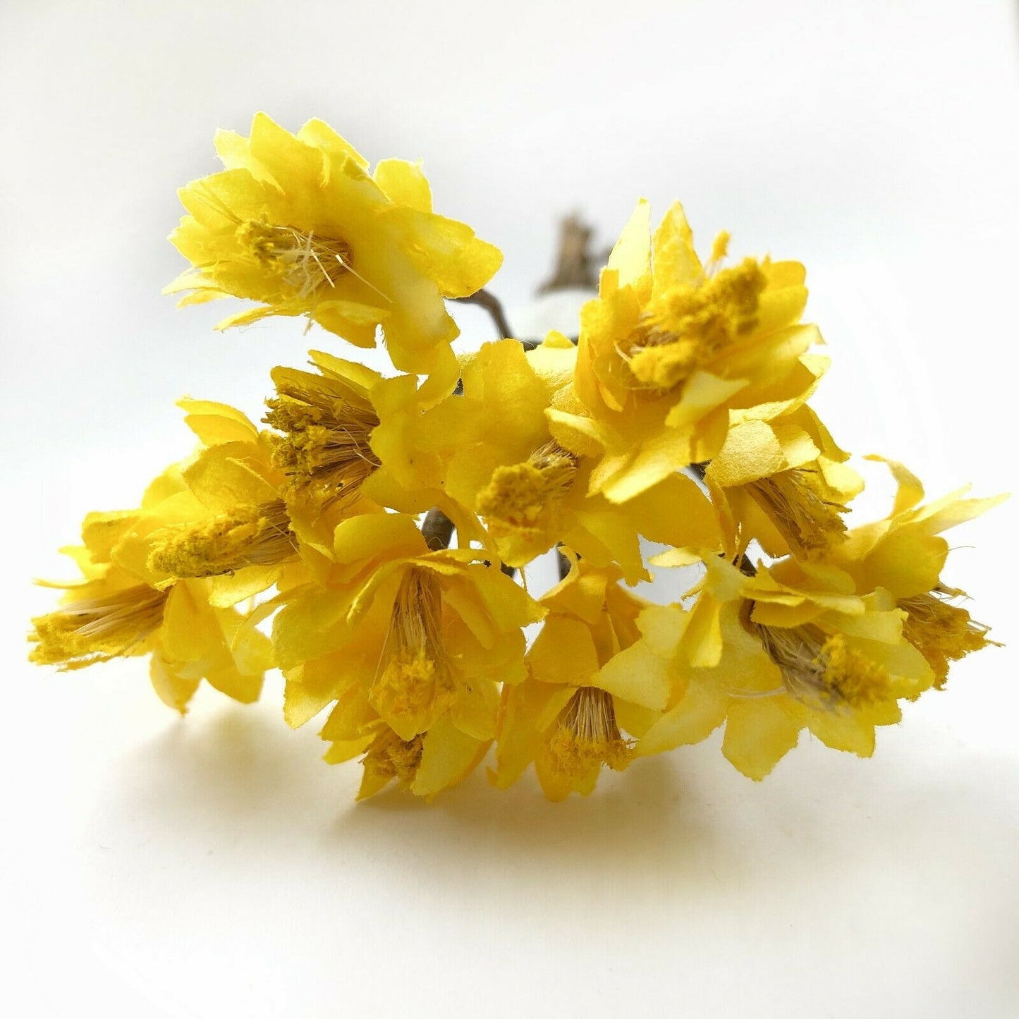 Sun Daisy Paper Flowers With Wire Bendy Stem For Card Making Craft Embellishment